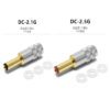 One end - Oyaide DC-2.1G(2.1mm) and One end - DC-2.5G(2.5mm)